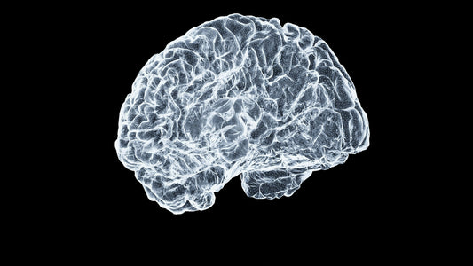 Guard Your Mind | Standing Against The Enemy's Tactics