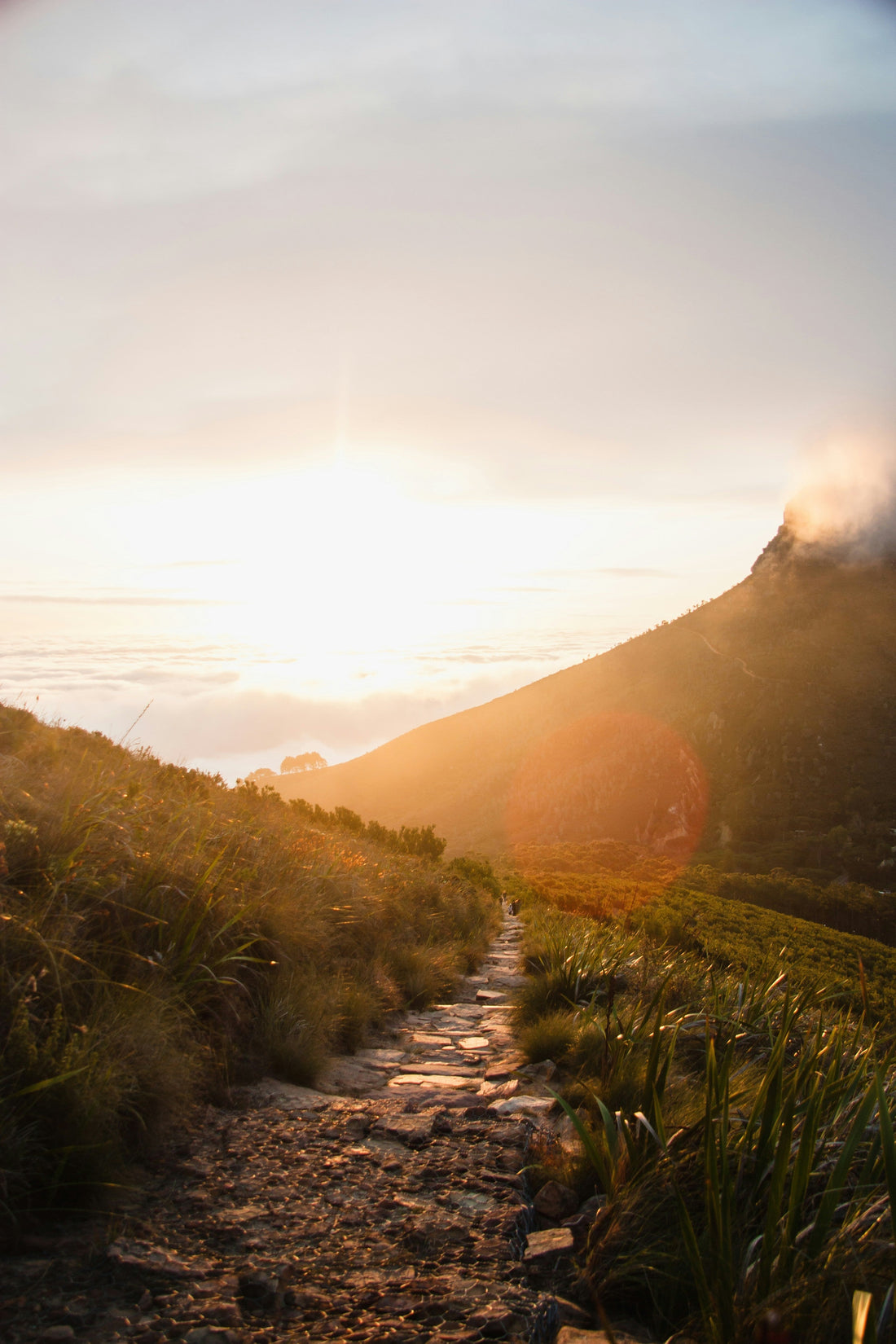 Submit & Surrender | Trusting God in Uncertainty