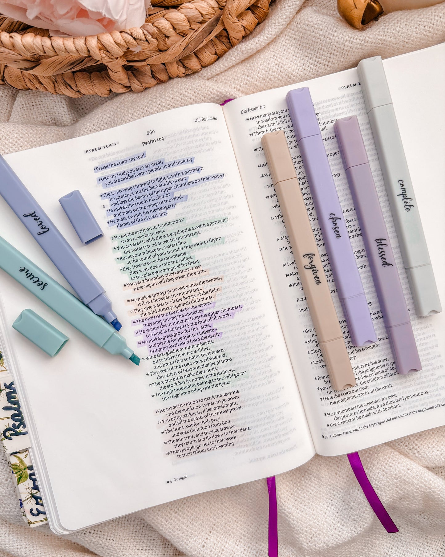 Bible Highlighters