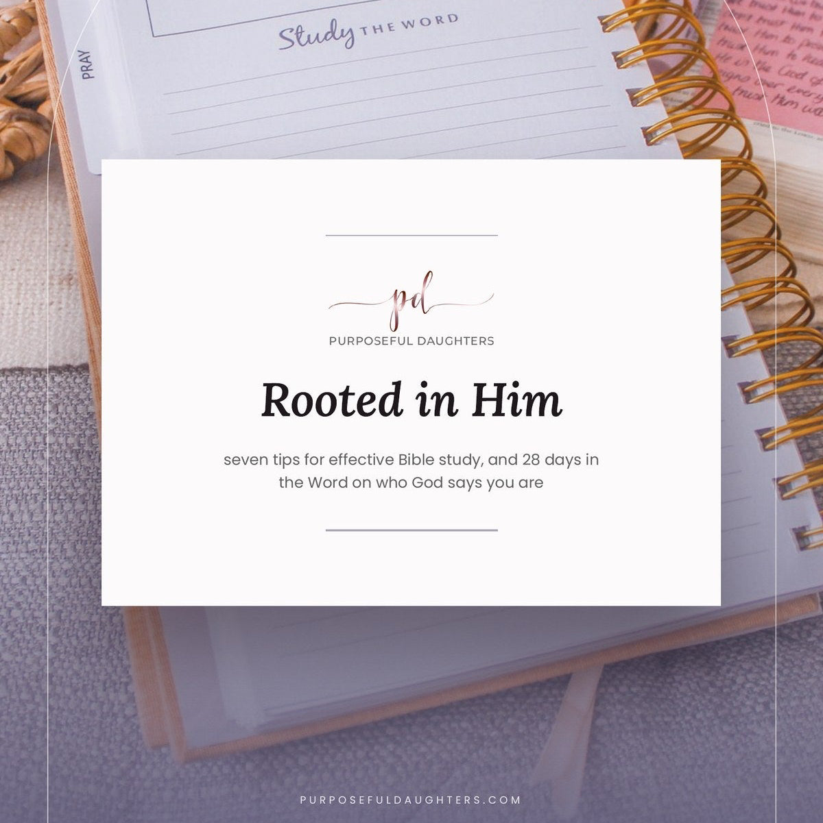 Cover of Rooted in Him, a free Bible study guide from Purposeful Daughters